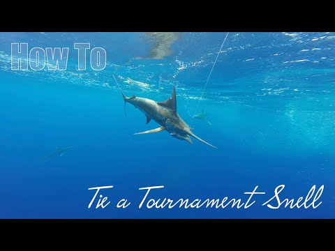 How To Tie a Tournament Snell