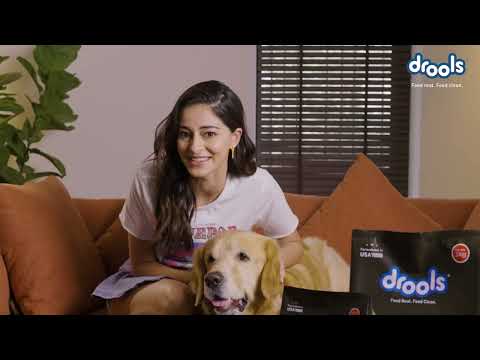 Drools Pet Food- 100% Real Ingredients & 0 By-products