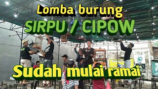 Download lagu Lomba burung sirpu/cipow sudah mulai ramai mp3