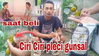 Download lagu Ciri-Ciri Pleci Gunung salak (GUNSAL) Ori mp3