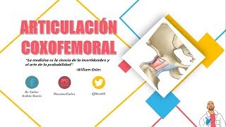 Anatomía - Articulación Coxofemoral (Superficies Articulares, Cápsula y Ligamentos, Movimientos)