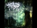 Trollgasm - The Goblin Song 