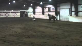 Pal John Klooz Tiedown Calf Roping For sale
