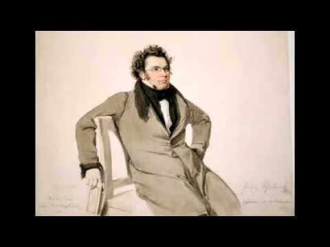 Franz Schubert.Sonatas D960&D850.Leif Ove Andsnes