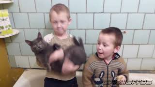 Ленинград - Экспонат (на лабутенах и в охуительных штанах)