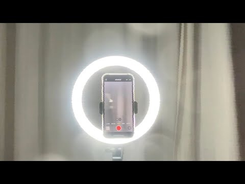 Tausend Löwen unter Feinden - Bilanz