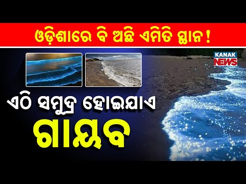 Special Report: Chandipur Beach Odisha: The Mystical Vanishing Sea Twice A Day