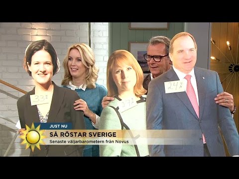 Pihlblad: "Inget parti har knäckt SD-koden" - Nyhetsmorgon (TV4)