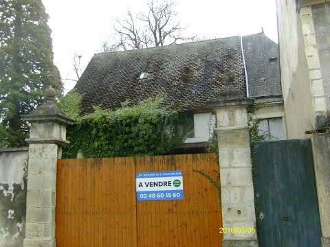 Not quite a Chateau DIY France, No. 7 - Donkeys and Dragons - on my Doorstep
