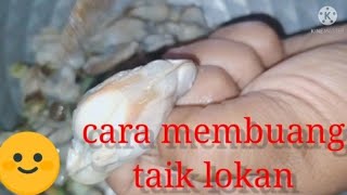 Download lagu CARA MASAK SAMBAL LOKAN DAN TUTORIAL BUANG TAIK LOKAN mp3 Download lagu CARA MASAK SAMBAL LOKAN DAN TUTORIAL BUANG TAIK LOKAN mp3