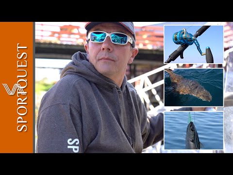 How To Catch Halibut In Norway With Sportquest Holidays
