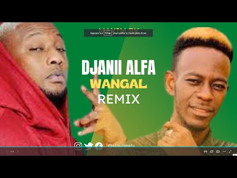 Djanii Alfa - Remix Wangal | Maxim BK Clip 2023🇬🇳