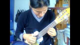 Jardin - Gustavo Santaolalla, Charango