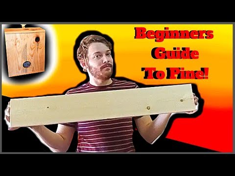 Beginners Guide To Wood Species - Everything You Need To Know About Pine