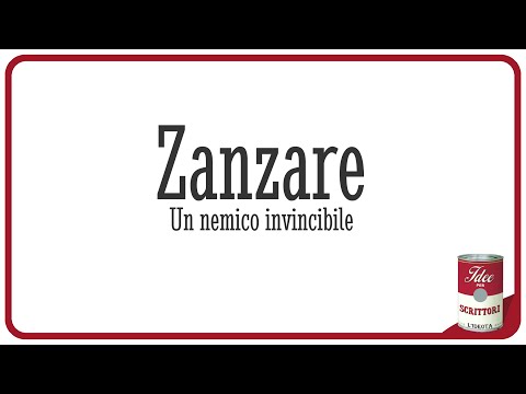 Che fare da vermi a un gatto Quello che è il proprietario occasionale per parassiti
