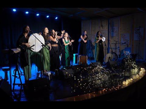 Napfonat és Palya Bea: Zöld-kék élet