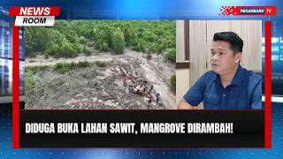 111 Hektare Hutan Mangrove Dumai Dirambah, Satu Tersangka Ditangkap