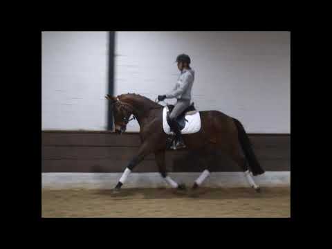 HERZ AS 3j. v. Herbstkönig - Caprimond VB 10.000,- Euro