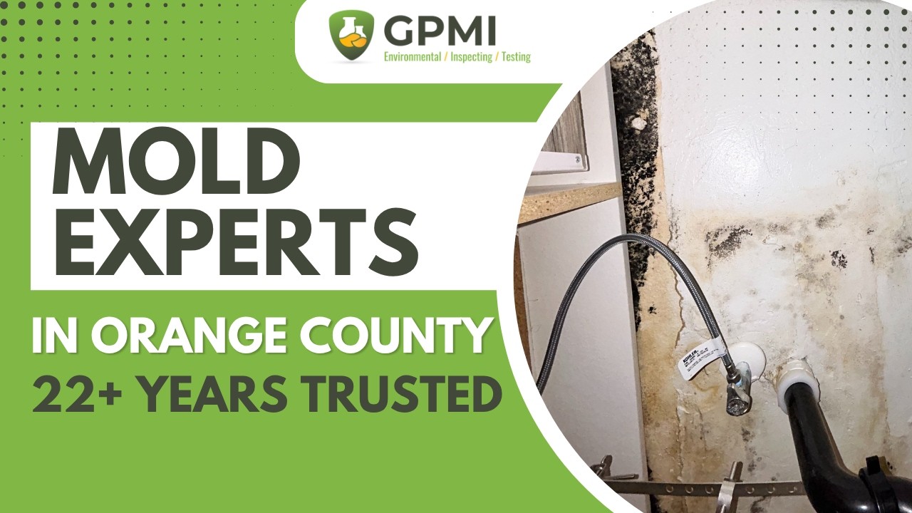 GPMI mold inspection video