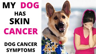 MY DOG HAS SKIN CANCER: (Shows what Dog Cancer looks like)