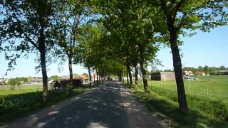 preview picture of video 'Bicycle trip: a cycle path in the woods of Leusden to Zeisterweg in Woudenberg (ADTWZ part 6/8)'