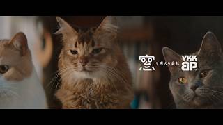 【YKK AP公式】窓と猫の物語 「おとなりさん」篇 30秒