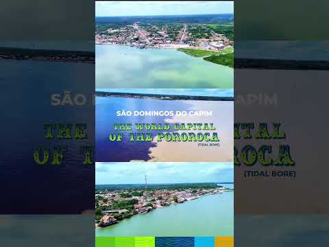 O mundo agora conhece São Domingos do Capim #cop30