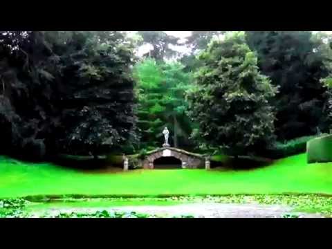 Vojto - Relax 949 - Venušina záhrada - Venus garden - Dance
