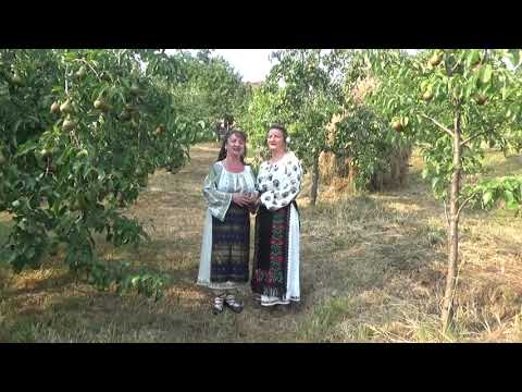 MARIANA IATAGAN & IONELA LETCANU , Noi Santem Din Ianculesti
