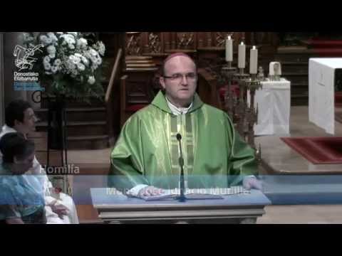 Homilia 2015-07-05 Mons Munilla Domingo 14 del T.O.