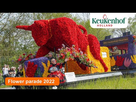 Flower Parade - Keukenhof 2022