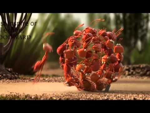 TeamWork Compilation