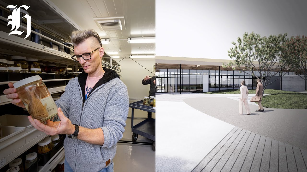 $155 million invested into Te Papa | Herald NOW