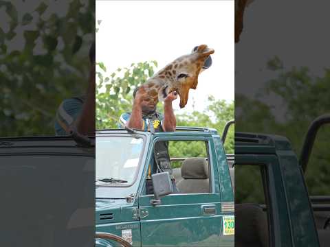 Happy Republic Day 🇮🇳