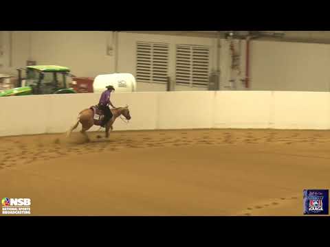 2021 Quarter Horse Congress Open Brandon Brant on CCR Voodoo