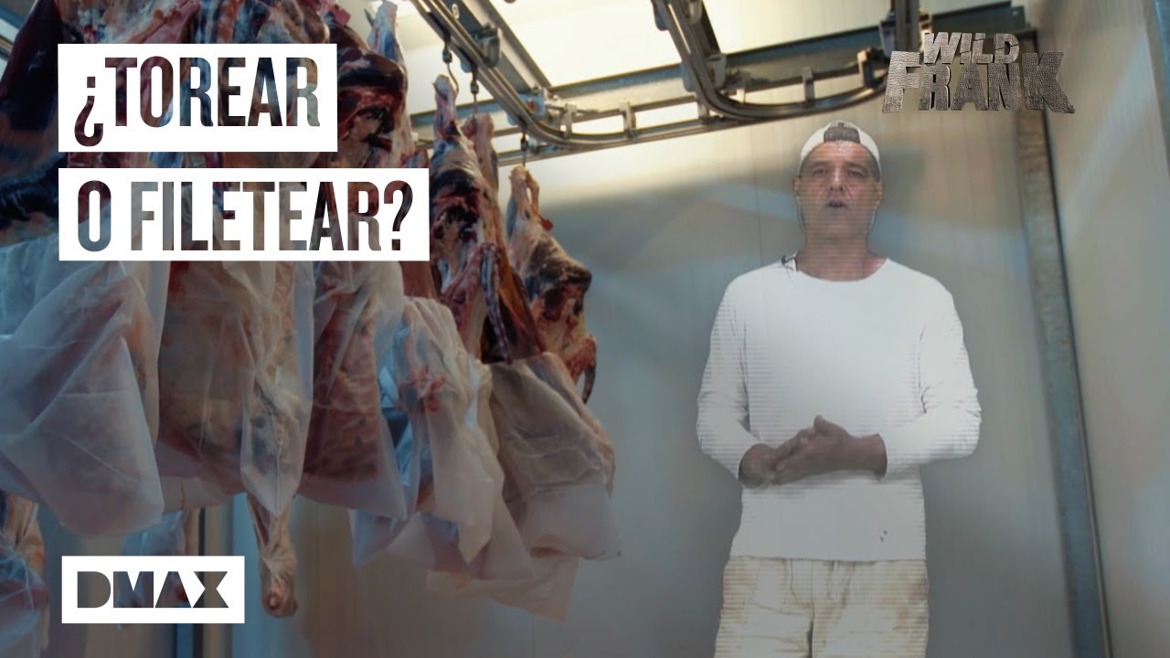 Toros de lidia: una especie a punto de desaparecer por la Covid 19 | Wild Frank