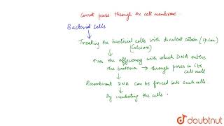 COMPETENT HOST (FOR TRANSFORMATION WITH RECOMBINANT DNA)