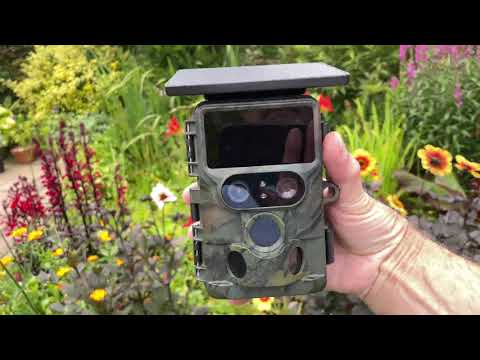 YouTube Video Vorschau