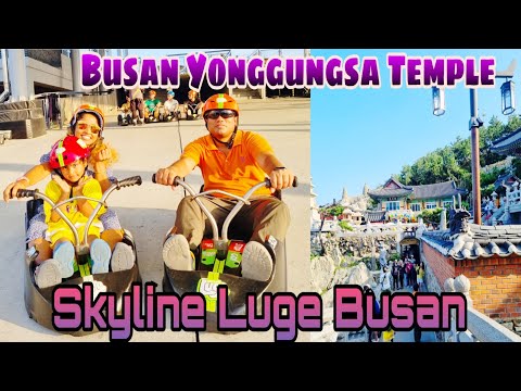 Spectacular Temple in Busan: Haedong Yonggungsa and Skyline Luge Busan |Busan Luge |스카이라인 루지| 해동용궁사