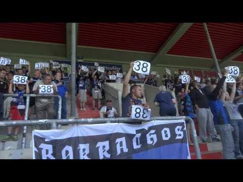 FSV Frankfurt - 38 Bornheimer