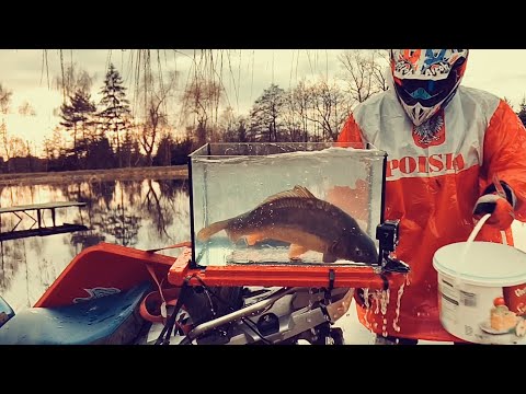 Lord Szuter i karp! Wolnych i Spokojnych Świąt 2019!