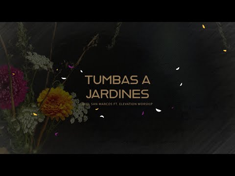 Tumbas A Jardines (feat Elevation Worship) - Miel San Marcos