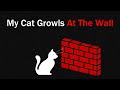 If Your Cat Growls At The Wall RUN Analog Horror