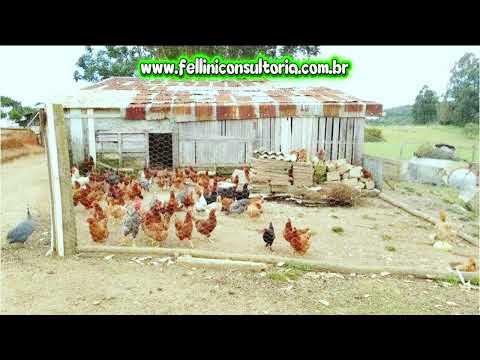 9,7 HECTARES VENDO UM SÍTIO COMPLETO COM CASARÃO DE PATRÃO DE 6 DORMITÓRIOS ENTRE GUAÍBA E MARIANA 