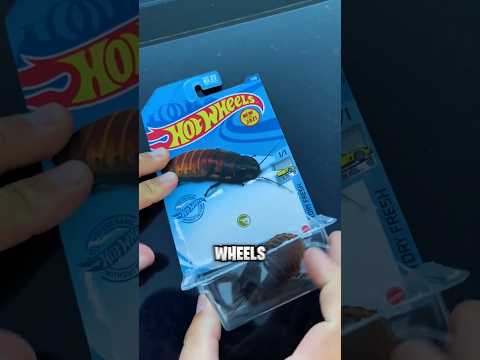 Hot Wheels Roach Car 😭