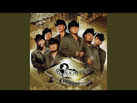 Agustín Jaime - Alacranes Musical