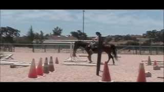 Bruce Horse Evaluation 2