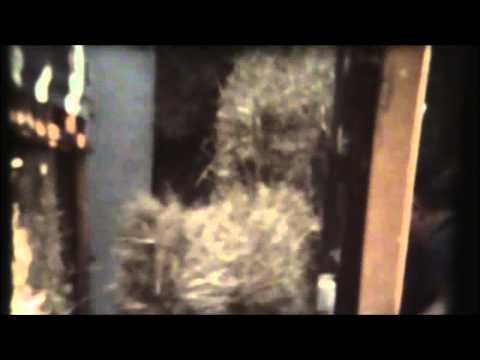 Loonw Persyn-Steelandt- Elverdinge