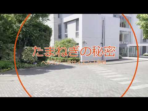 リハビリテーション学科 【予告】模擬授業　たまねぎの秘密