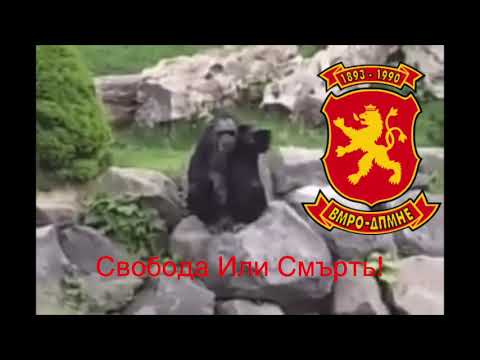 Svoboda Ili Smrt | Internal Monkeydonian Revolutionary Organization
